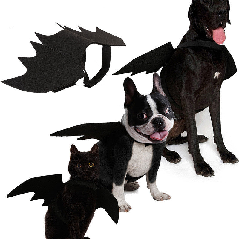 Pet bat wings clothes