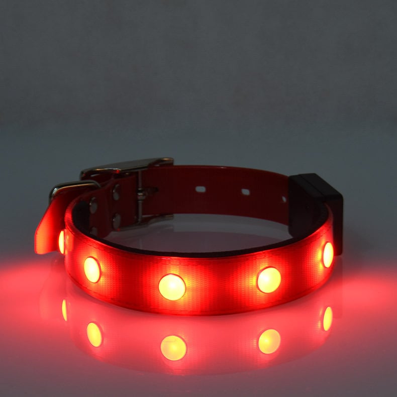 Luminous Waterproof Collar Adjustable Cat And Dog Collar