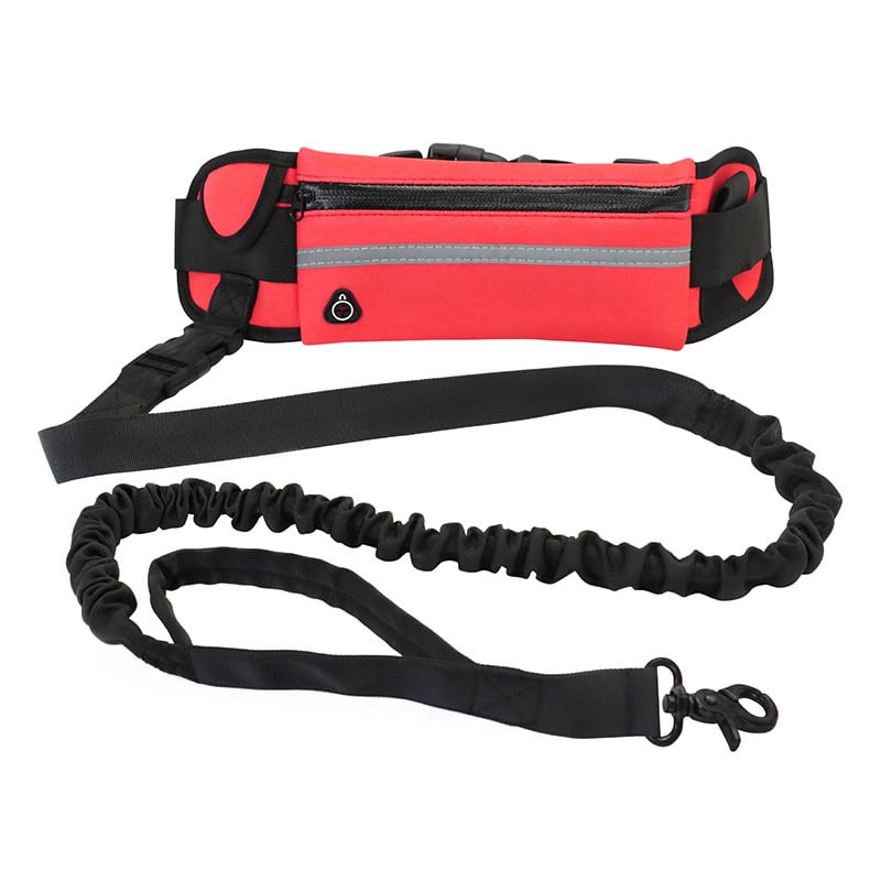 Hands Free Dog Leash Pet Walking And Training Belt With Shock Absorbing Bungee Leash For Up To 180lbs Large Dogs Phone Pocket And Water Bottle Holder