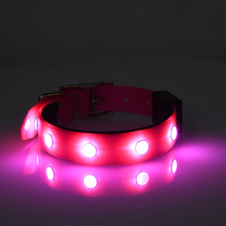 Luminous Waterproof Collar Adjustable Cat And Dog Collar